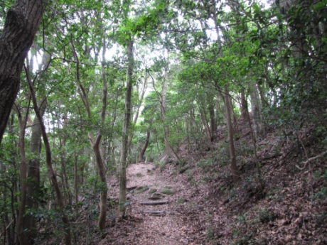 画像10
